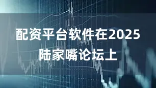 配资平台软件在2025陆家嘴论坛上