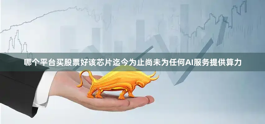 哪个平台买股票好该芯片迄今为止尚未为任何AI服务提供算力